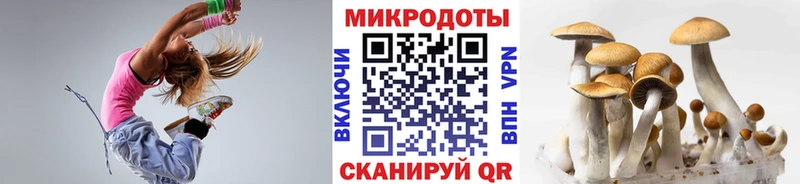 Галлюциногенные грибы GOLDEN TEACHER  KRAKEN ссылка  Серов 